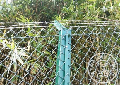 牡丹江勾花护栏网使用案例