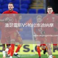 潘瑟雷斯VS帕拉库迪纳摩
