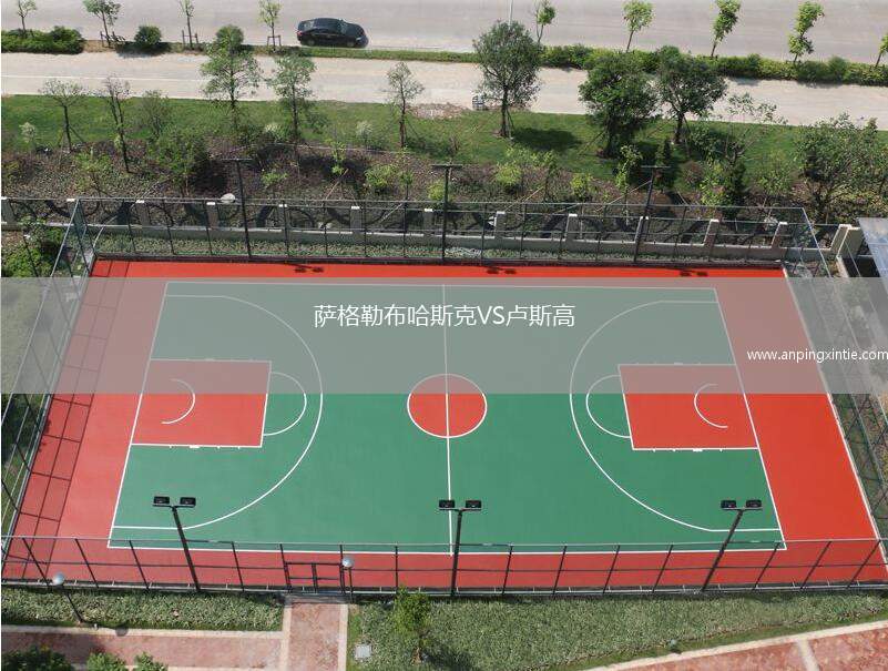 萨格勒布哈斯克VS卢斯高