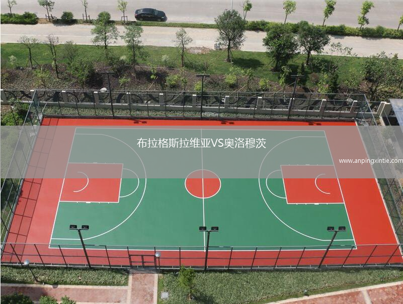布拉格斯拉维亚VS奥洛穆茨
