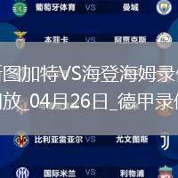 德甲第31轮斯图加特0-1海登海姆
