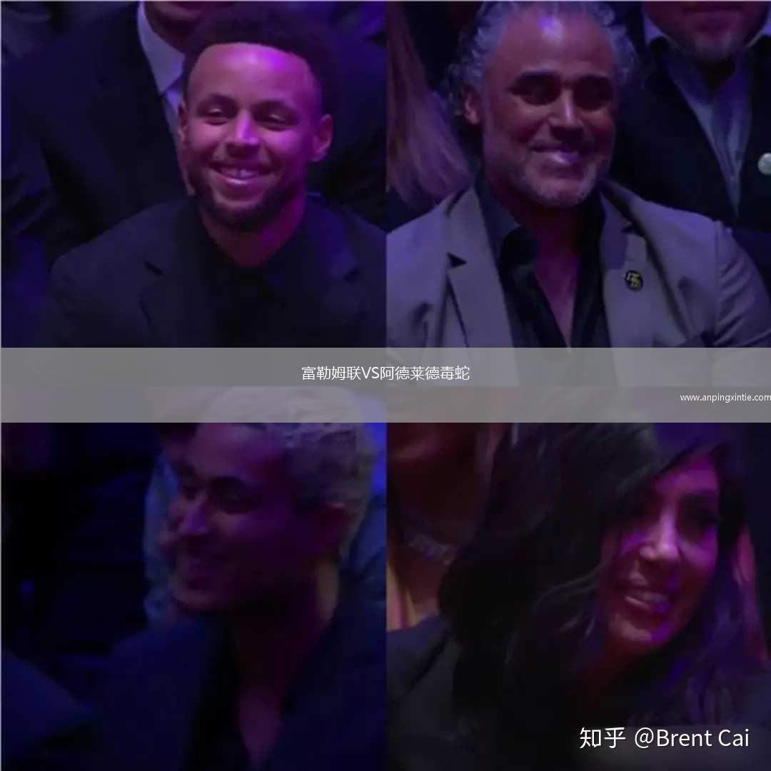 富勒姆联VS阿德莱德毒蛇
