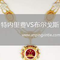 特内里费VS布尔戈斯