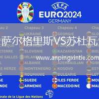 萨尔格里斯VS苏杜瓦