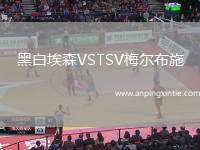 黑白埃森VSTSV梅尔布施