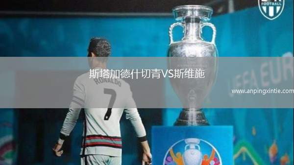 斯塔加德什切青VS斯维施