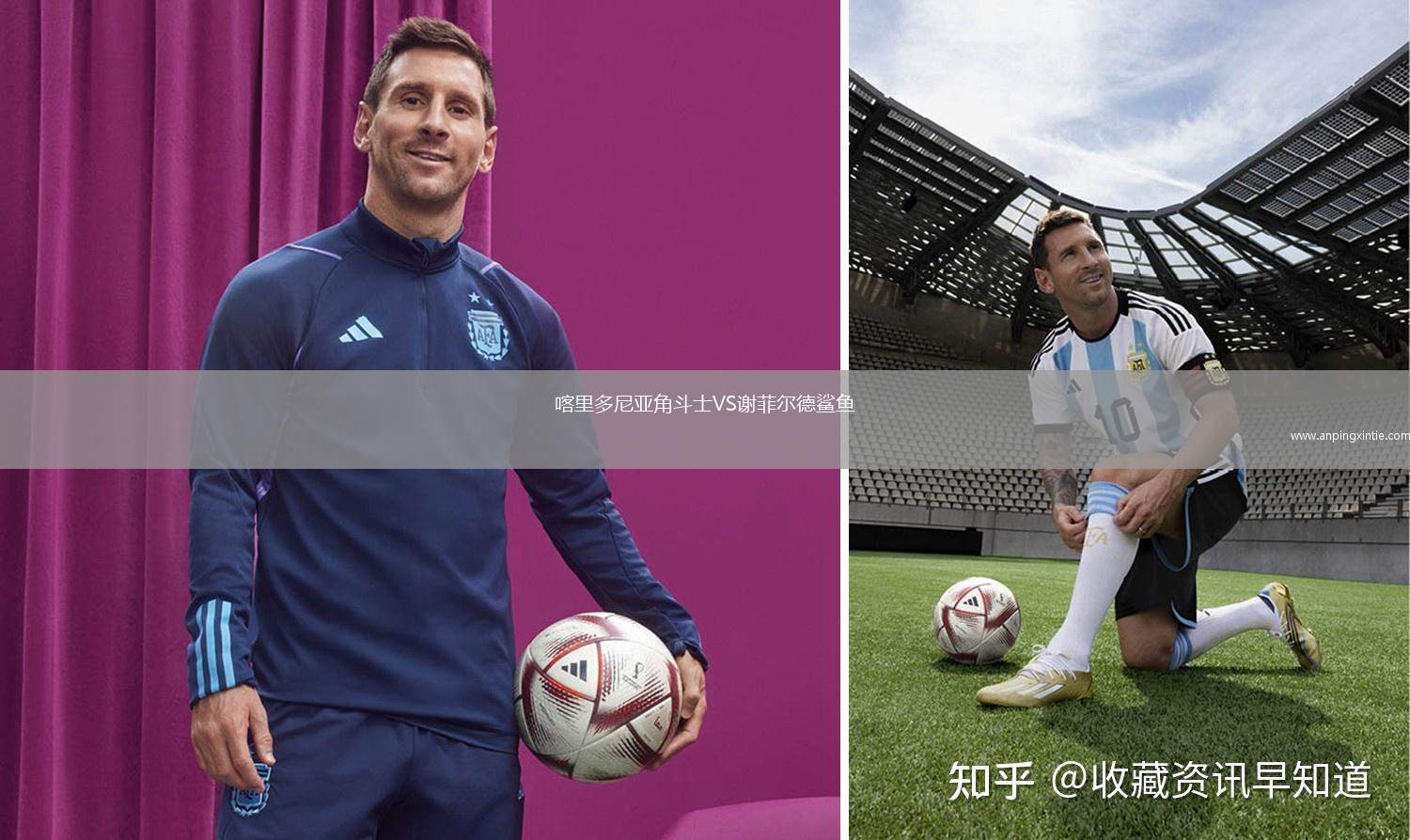 喀里多尼亚角斗士VS谢菲尔德鲨鱼