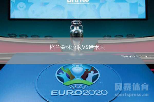 格兰森林流浪VS谭禾夫