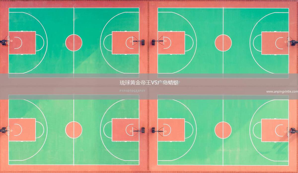 琉球黄金帝王VS广岛蜻蜓