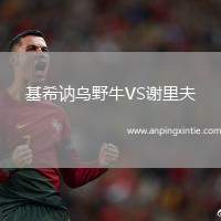 基希讷乌野牛VS谢里夫