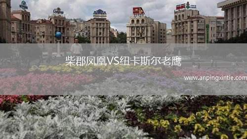 柴郡凤凰VS纽卡斯尔老鹰