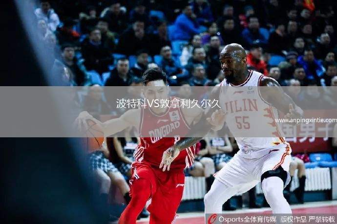 波特科VS敦拿利久尔久