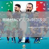 帕哈杜ACVSUSM阿尔及尔