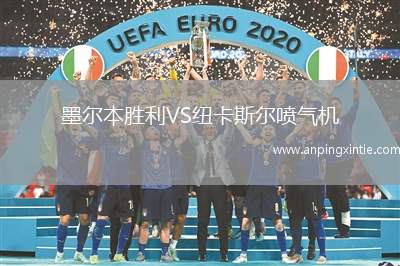 墨尔本胜利VS纽卡斯尔喷气机