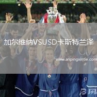 加尔维纳VSUSD卡斯特兰泽
