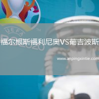 福尔根斯福利尼奥VS葡吉波斯