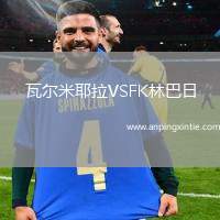 瓦尔米耶拉VSFK林巴日