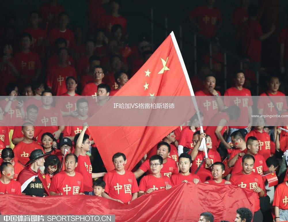 IF哈加VS格雷柏斯塔德