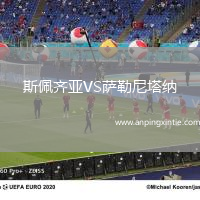 斯佩齐亚VS萨勒尼塔纳